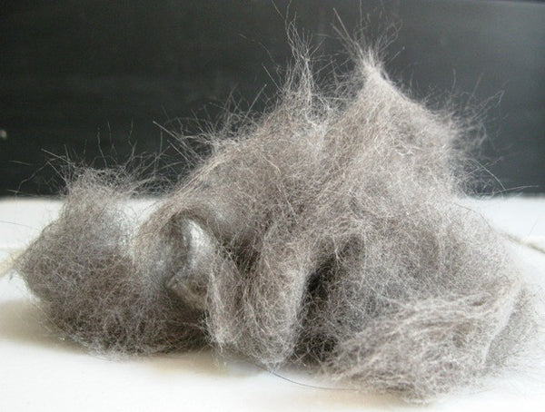 CSP  Cat Hair